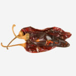 Cool Chile – Guajillo chili