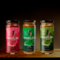 Tradicion - Salsa Pack